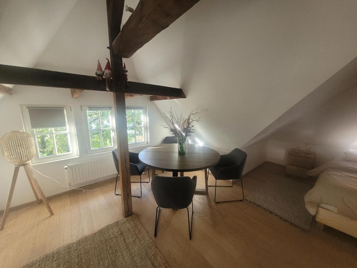 Studio 50M2 Au Bord De L'Eau A Strasbourg Exterior foto