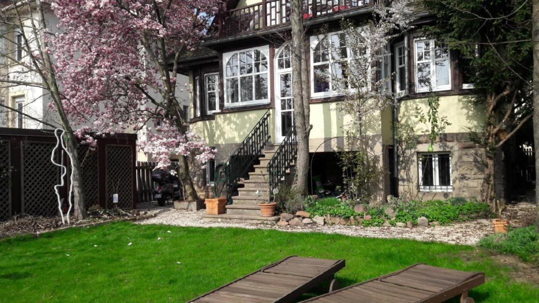 Studio 50M2 Au Bord De L'Eau A Strasbourg Exterior foto